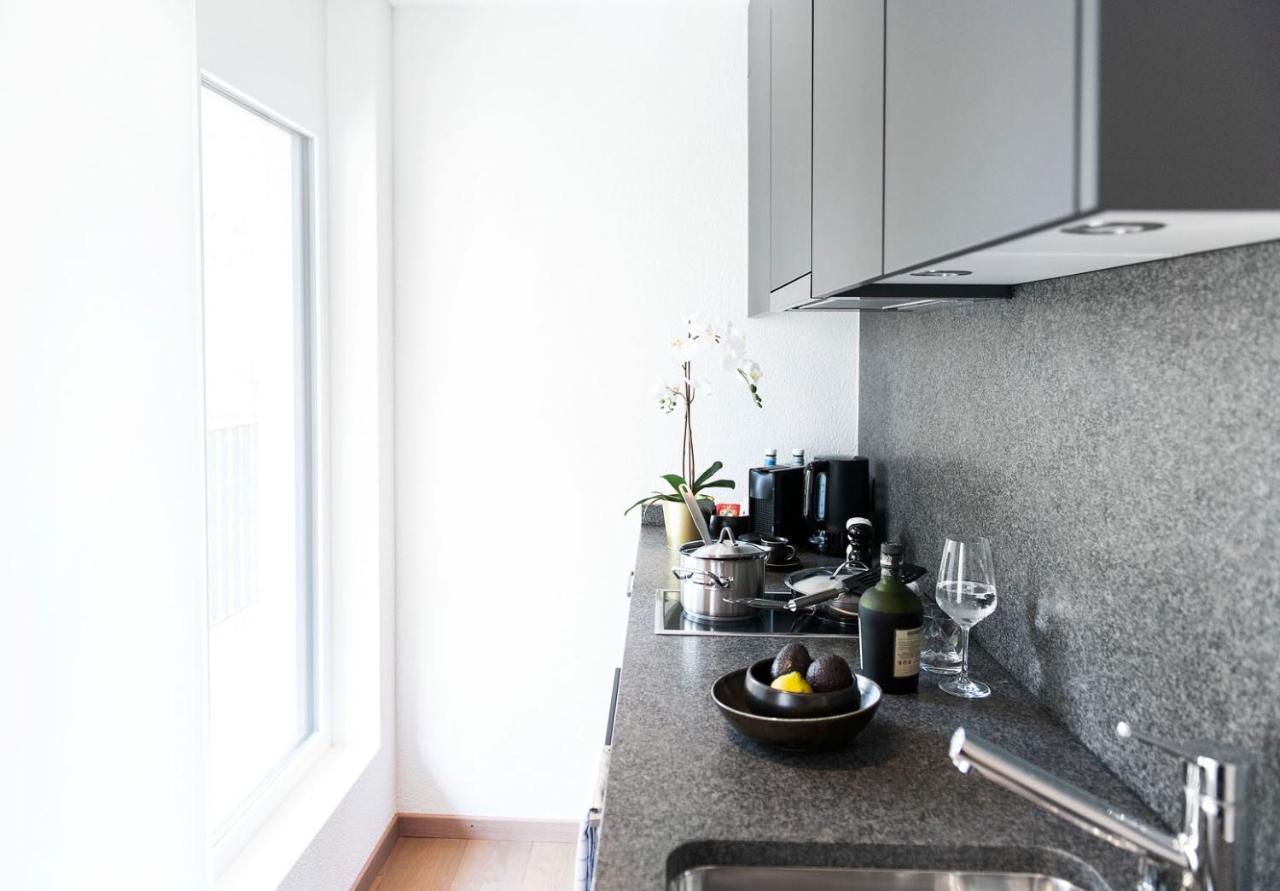 Cosmopolitan Apartments Zuerich Seefeld エクステリア 写真